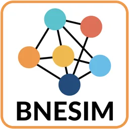 BNESIM